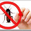 Castle-Hill-Insect-Control-... - Castle Hill Pest Control