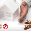 Termites-Castle-Hill-Castle... - Castle Hill Pest Control