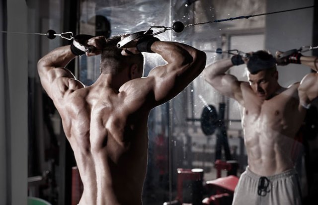 muscular-man-gym 2 http://www.ifirmationeyeserumblog.com/testoultra-philippines/