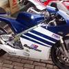 18009670 10211212663365101 ... - bikes