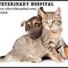 Welcome to City Veterinary ... - City Veterinary Hospital