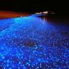bioluminescence-tour-cayman... - Picture Box