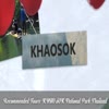 Khao Sok National Park Tours