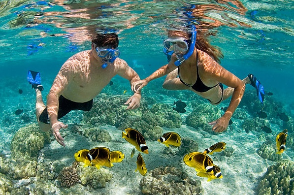 snorkeling grand cayman Picture Box