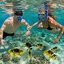 snorkeling grand cayman - Picture Box