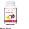 http://www.healthyminihub.com/enchanted-garcinia-reviews/