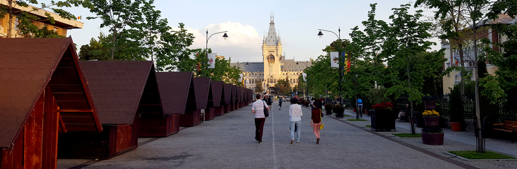 34395915282 90178d9b60 o - 