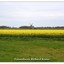 DSC 1437-BorderMaker - Richard
