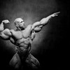 muscle vision by n o n a m ... - http://alphajackedhelp