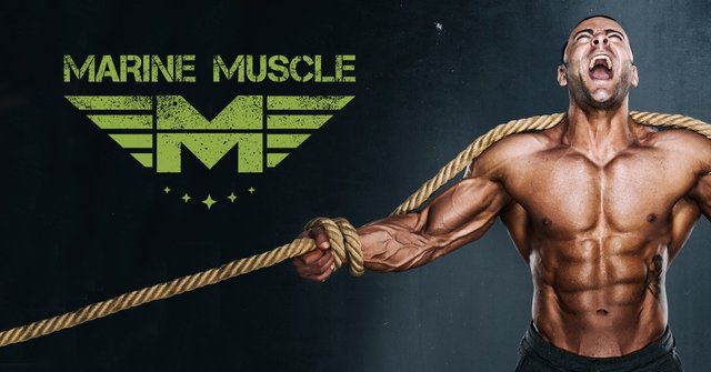 httpmaleenhancementshop.infomarine-muscle Picture Box