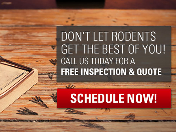 Pest Control Service Pompano Beach Command Pest Control