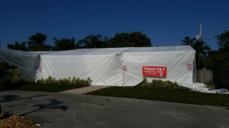 Pompano Beach Pest Control Command Pest Control
