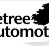 Logo - Shadetree Automotive 