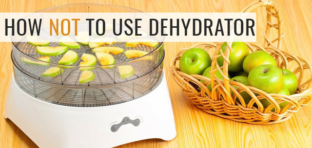 Dehydrator Spot Dehydrator Spot