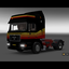 ets2 Man F2000 Commander 4x... - prive skin ets2