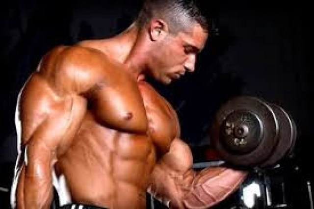 http://luxmuscle Picture Box