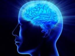 images https://xreviewssite.wordpress.com/2017/05/30/genbrain/
