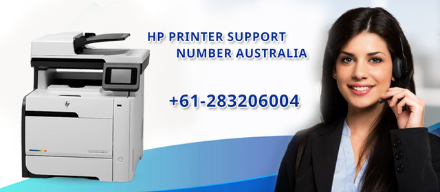  HP Printer Support Number