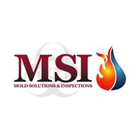 ob 8a11b3 sl1577p Mold Solutions & Inspections