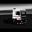 ets2 Daf 95 ATI 4x2 Kruisdi... - prive skin ets2