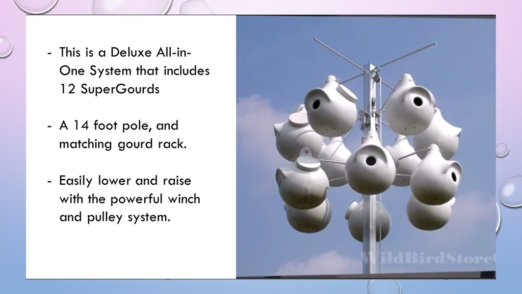 Gourd Rack and Pully System Wild Bird Store Online