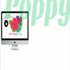 web design Northampton - Poppy Design Studio