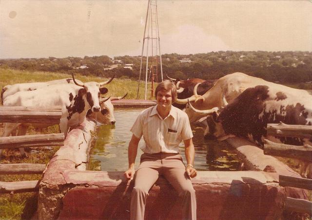 dad cows Photos of Dad