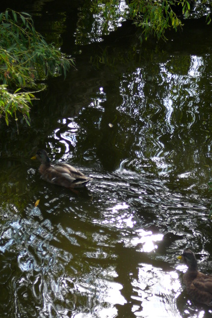 P1010873 Vondelpark