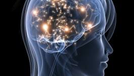 http://brainfireadvice Picture Box