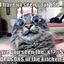 Funny Cat Pictures - Picture Box
