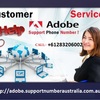 Adobe Tech Support Phone Nu... - Picture Box