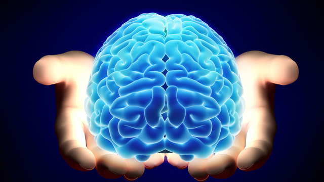 brain-transplants-merl http://healthguidewebs.com/ampedrin/