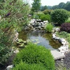 Garden Fish Pond Princeton NJ - Greenleaf Lawn and Landscap...