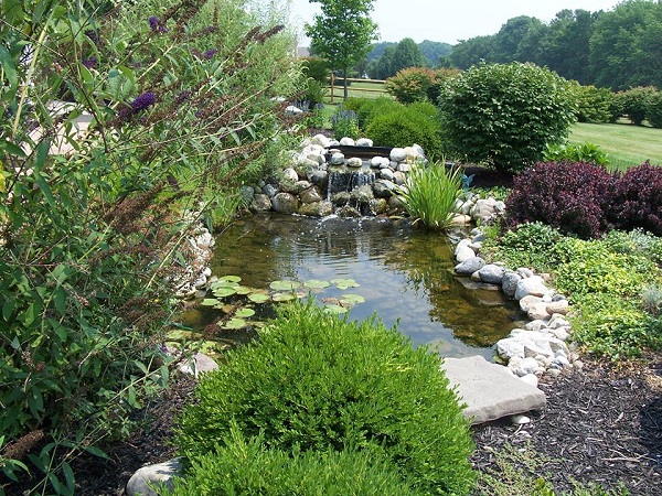 Garden Fish Pond Princeton NJ Greenleaf Lawn and Landscape Inc