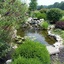 Garden Fish Pond Princeton NJ - Greenleaf Lawn and Landscape Inc