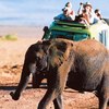 African Safari Tours - Lights on Africa Destinations