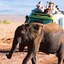 African Safari Tours - Lights on Africa Destinations