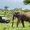Wildlife Safari Tour in Rwanda - Hermosa Life Tours & Travel