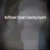 Bellflower Carpet Cleaning Experts