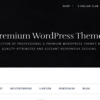 Premium WordPress themes - theem'on-Premium WordPress ...