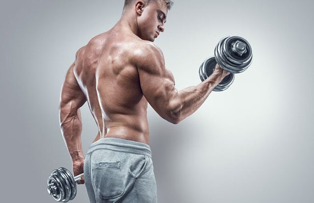 muscular-man-gym 9 http://www.toptryloburn.com/test-boost-excel/