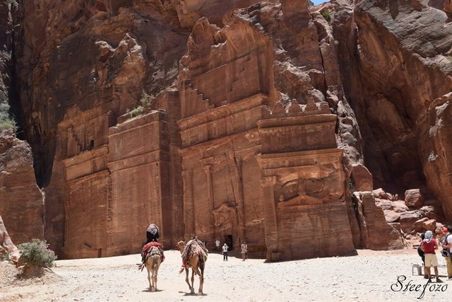 Petra Day Tour Jordan Private Tours & Travel