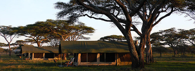 Tanzania Group Join Safari Sunset African Safaris