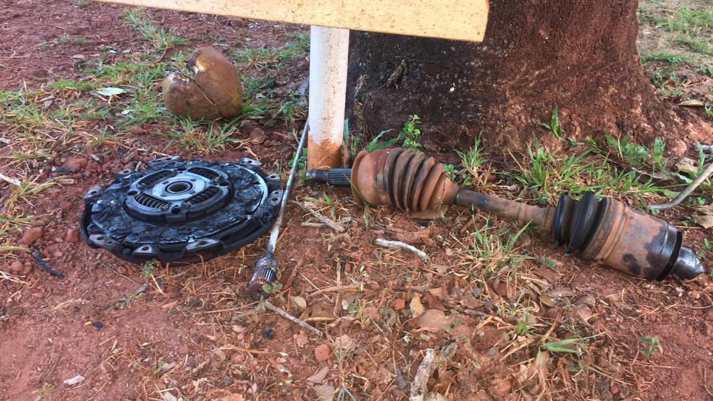 19840310 1473298972736132 1879717534 o - 