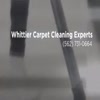 Tile cleaning in Whittier -... - Whittier Carpet Cleaning Ex...