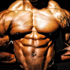 The-Top-7-Bodybuilding-Meth... - Picture Box