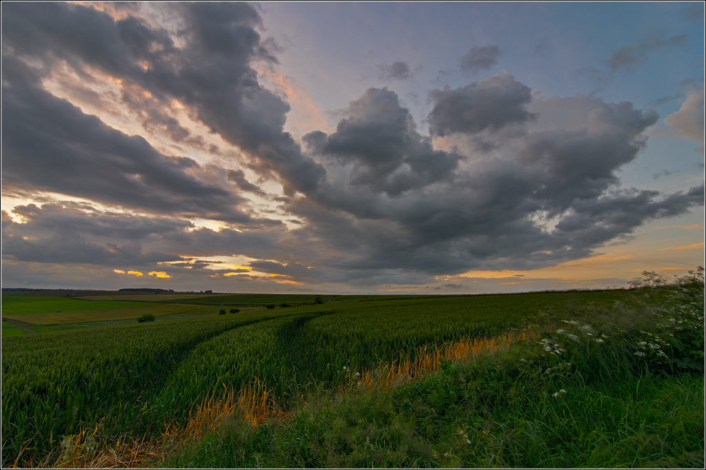  DSC3834 Near Stonehenge - 