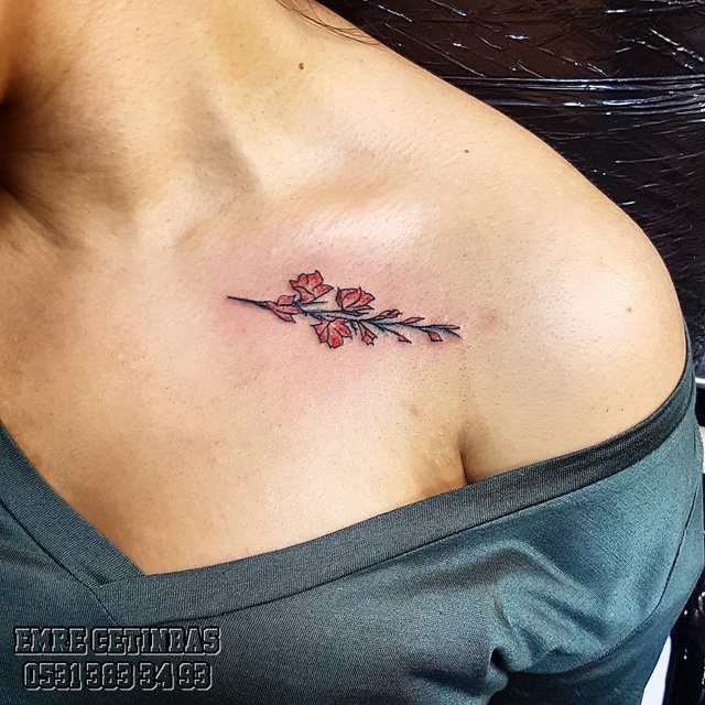 small flowrrs tattoo dovmeneredeyapilir dÃ¶vme yaptÄ±rmak istiyorum