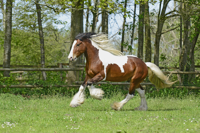 29 foto's van website portfolio niet wegdoen