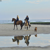 stranddag(525) - foto's van website portfoli...